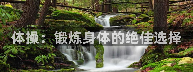 J9官网下载招商电话:体操:锻炼身体的绝佳选择